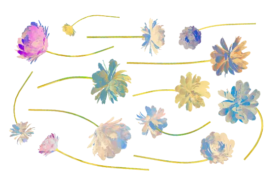 An illustration of some flowers in a pressed floral layout