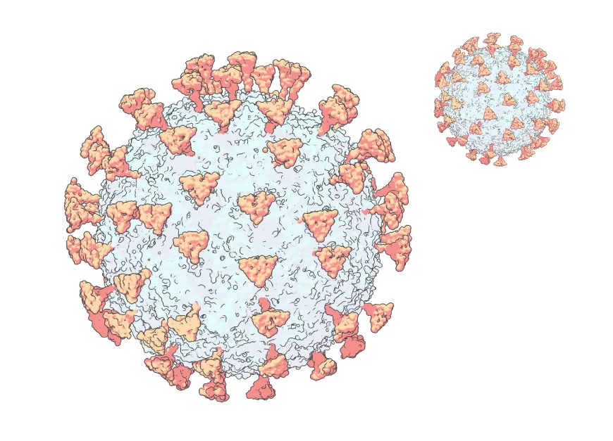 Covid Virus